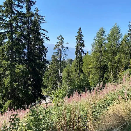 Apartment In The Heart Of Crans-Montana